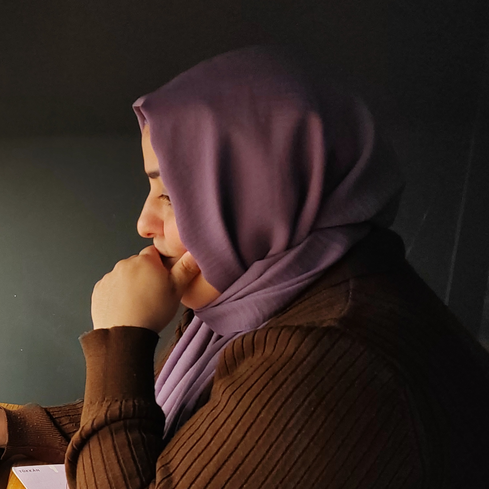 Sukran Anustekin gokruh