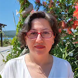 seyda saldirdak gokruh